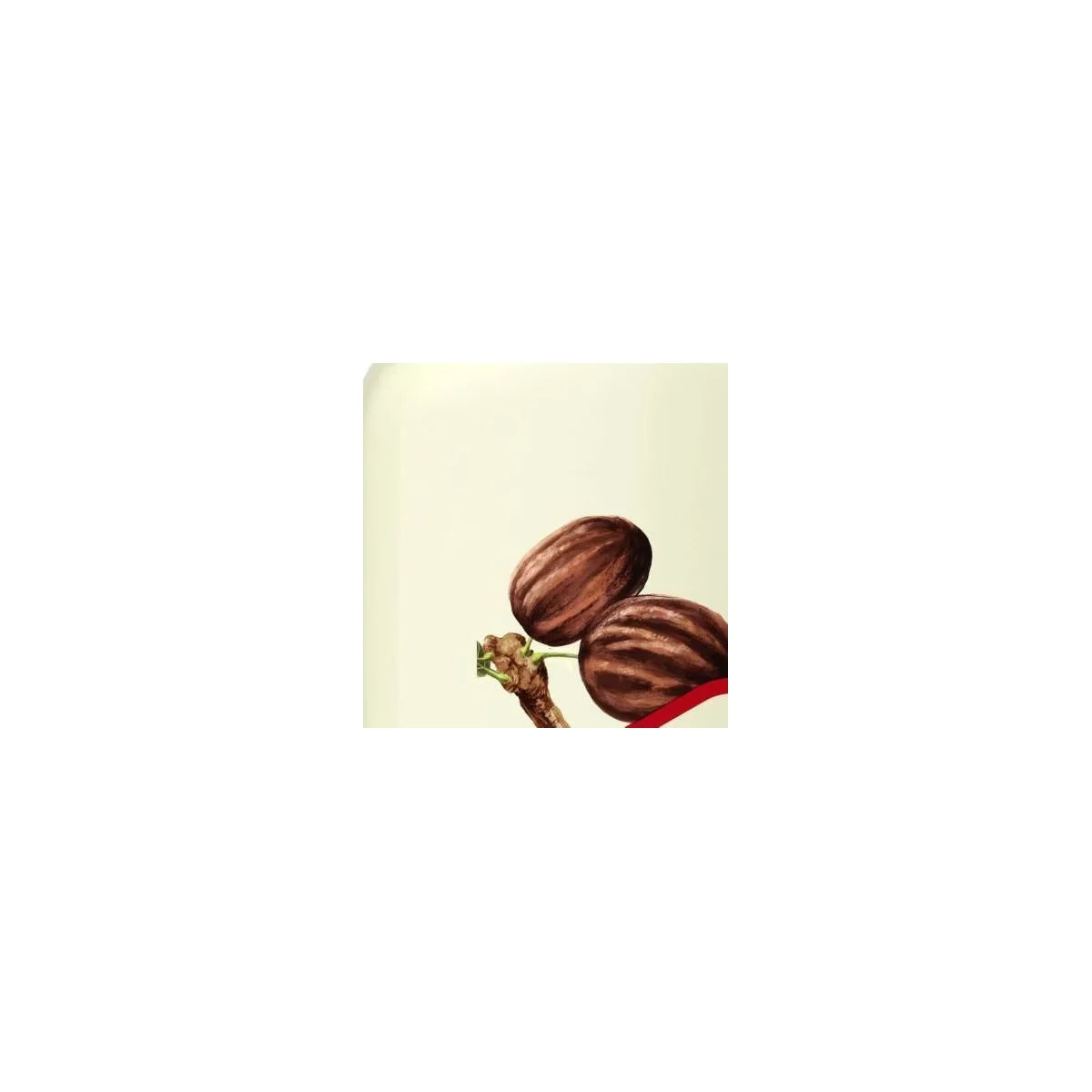Old Spice Men's Body Wash - Moisturize with Shea Butter