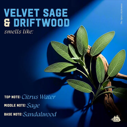 Old Spice x The Spice Alchemist Velvet Sage & Driftwood Cologne Infused Shampoo - 20 fl oz