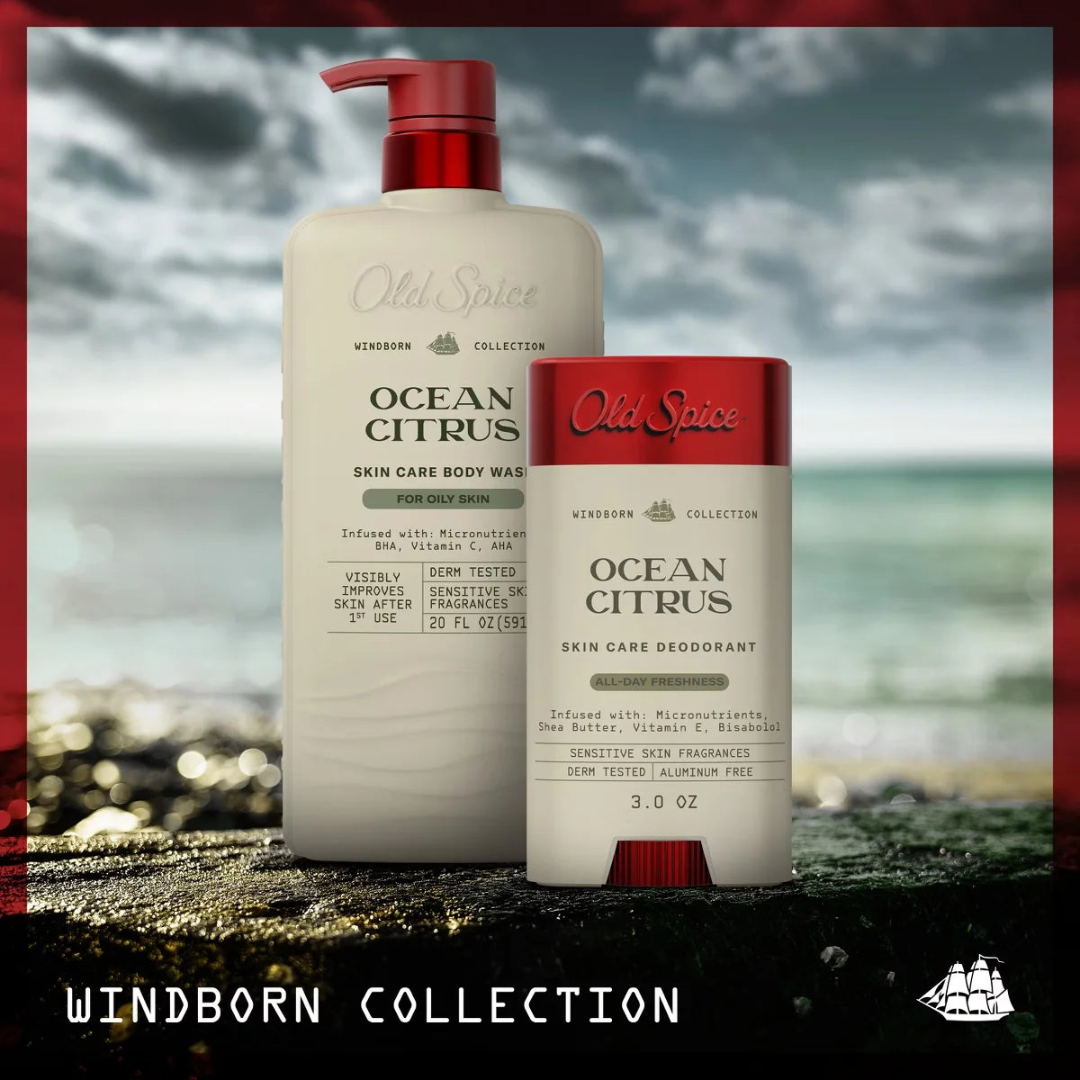 Old Spice Windborn Collection Men 's Body Wash for Oily Skin - Ocean Citrus - 20 fl oz: Moisturizing, Basic Cleansing, Contains Vitamin E