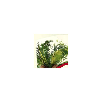 Old Spice Men's Body Wash - Fiji with Palm Tree