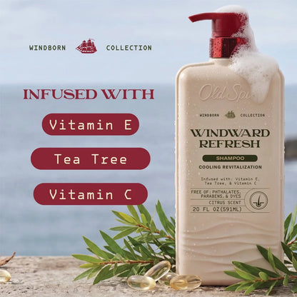 Old Spice Windborn Windward Refreshing Shampoo - 20 fl oz