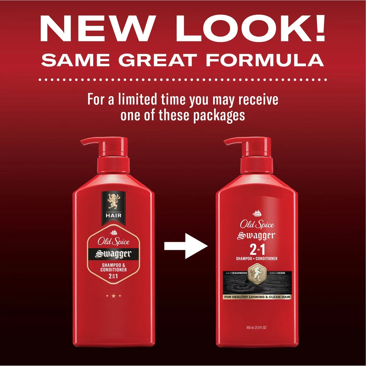 Old Spice Swagger 2-in-1 Men's Shampoo and Conditioner - 21.9 fl oz